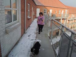 2013-04-10_08-11-48