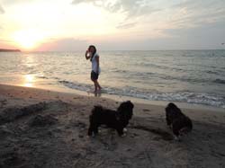 2014-07-08_21-26-46