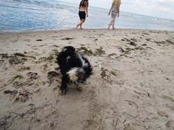 2014-07-10_15-35-09