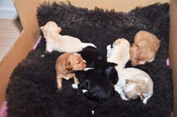2014-10-16_19-09-29