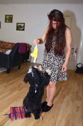 2015-04-26_09-38-58