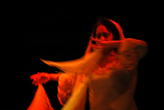 Roya Moghaddas Hoffmeyer