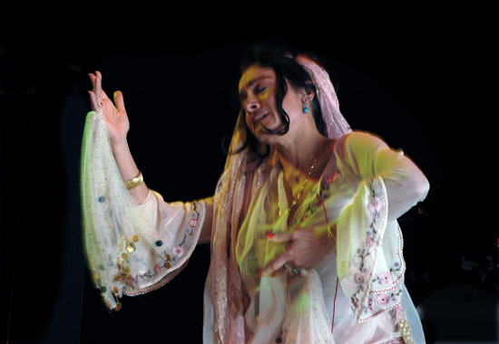 Roya Moghaddas Hoffmeyer