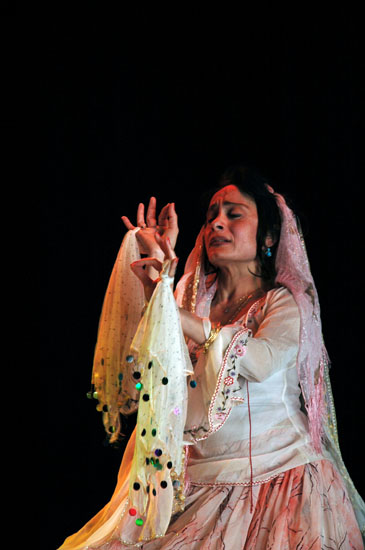 Roya Moghaddas Hoffmeyer