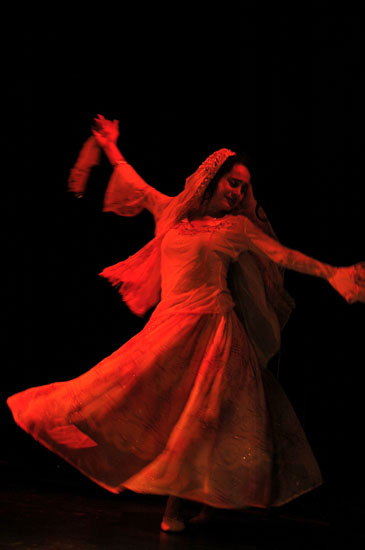 Roya Moghaddas Hoffmeyer