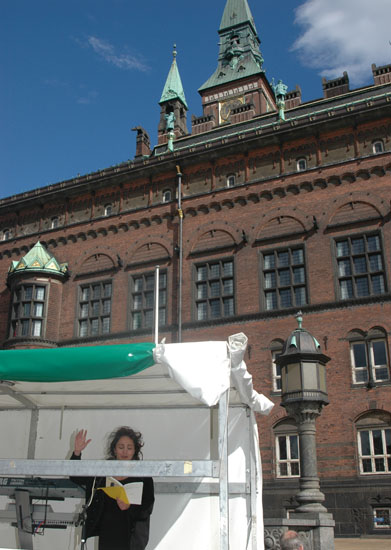 Roya Moghaddas Hoffmeyer