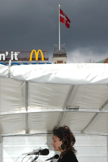 Roya Moghaddas Hoffmeyer