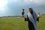 Sherin-2006-066