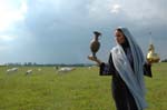 Sherin-2006-067