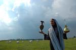 Sherin-2006-068