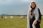 Sherin-2006-072