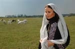 Sherin-2006-073