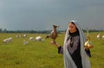Sherin-2006-074