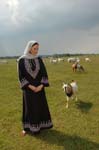 Sherin-2006-078