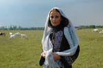 Sherin-2006-079