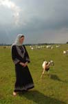 Sherin-2006-081