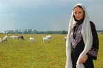 Sherin-2006-084
