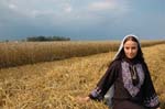 Sherin-2006-092