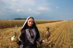 Sherin-2006-095