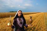Sherin-2006-096