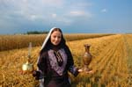 Sherin-2006-097