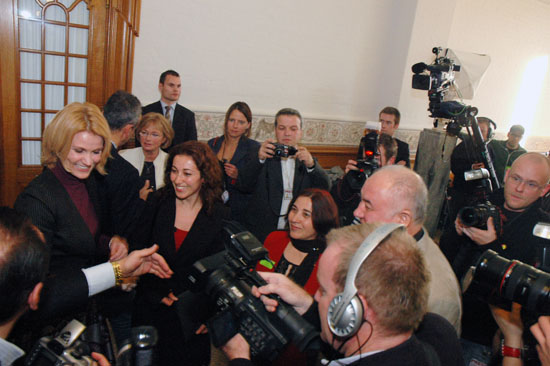 Yildiz-Akdogan-2007-113