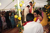 wedding-2410