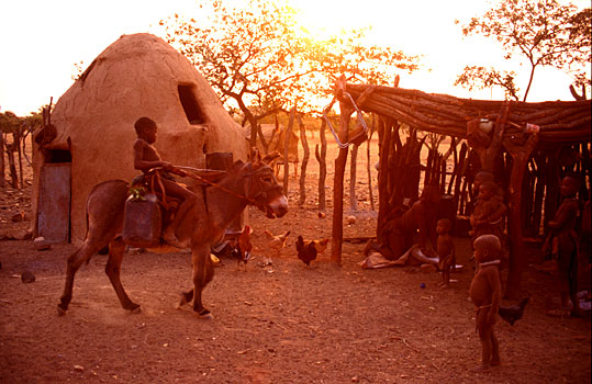Himba boy fetching water on a donkey