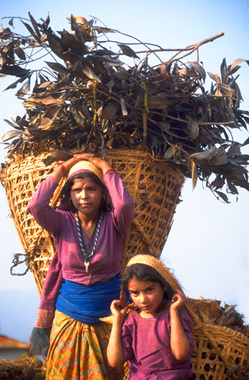 Nepal-0132