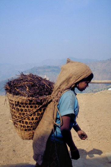 Nepal-0141