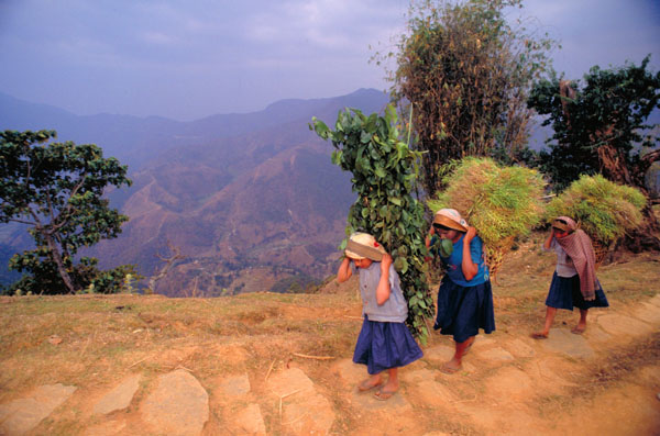 Nepal-0142