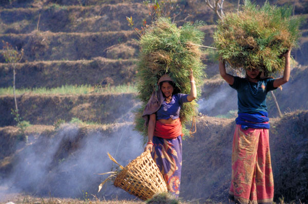 Nepal-0143