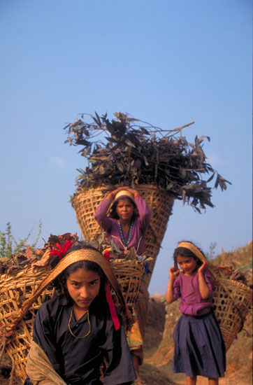 Nepal-0206