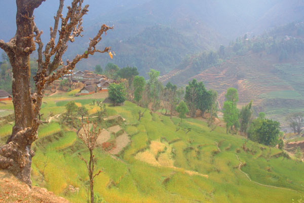 Nepal-0401