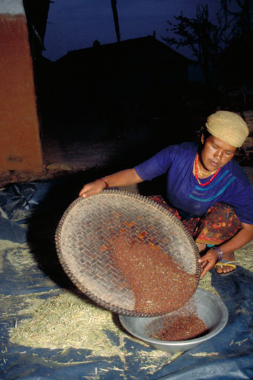 Nepal-0448