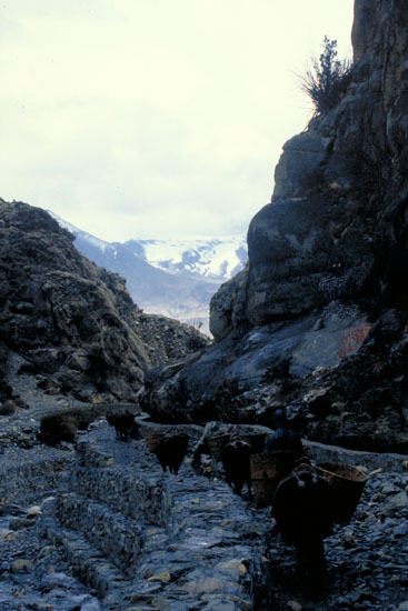 Nepal-0469