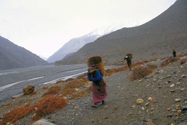 Nepal-0471