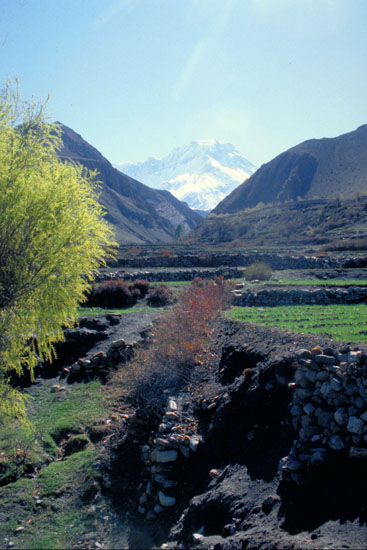 Nepal-0475
