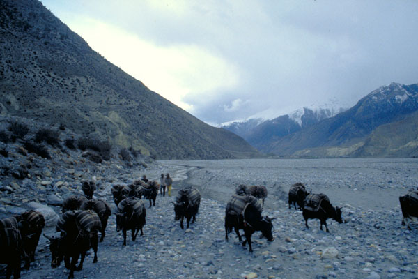 Nepal-0476