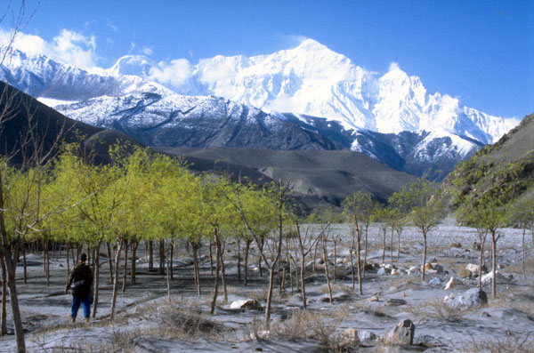 Nepal-0485