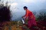 Nepal-0127