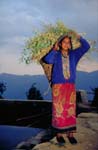 Nepal-0135