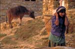 Nepal-0136
