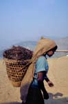 Nepal-0141