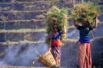 Nepal-0143