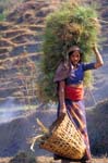 Nepal-0144