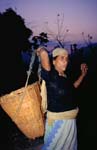 Nepal-0145
