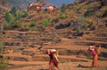 Nepal-0146