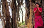 Nepal-0179