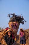 Nepal-0206